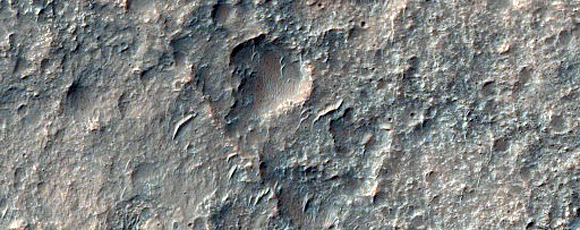 Sinuous Channels and Possible Chloride-Rich Terrain