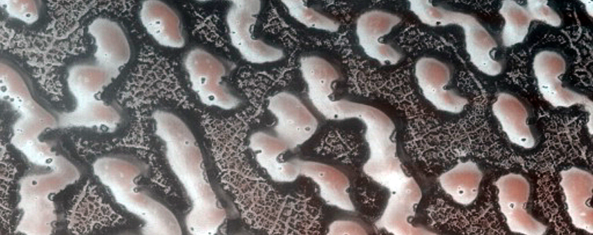 Dune Monitoring in Crater