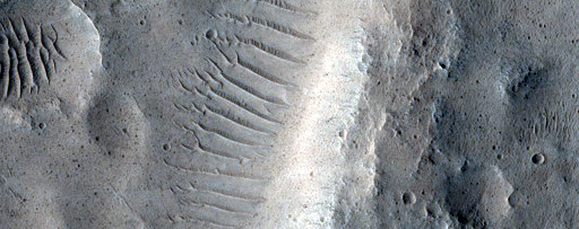 Candidate Recent Impact Site