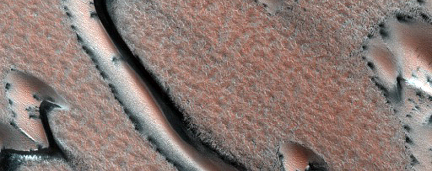 Furrows on Dunes