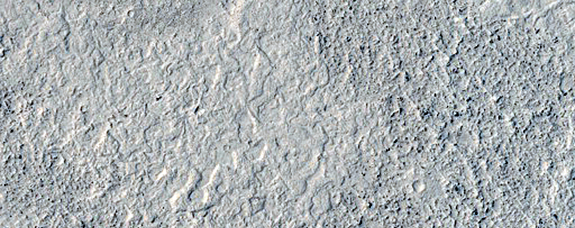Flow Contact in Elysium Planitia