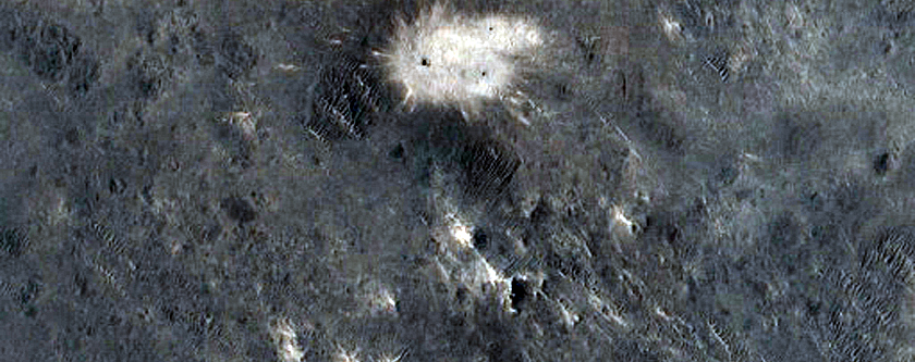 Monitoring New Impact Site 