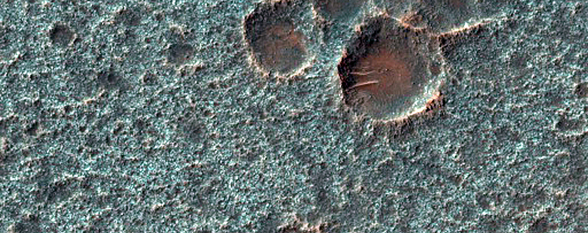 Olivine-Rich Materials on Dogana Crater Floor