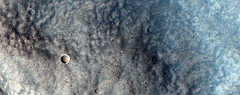 North-Facing Gully