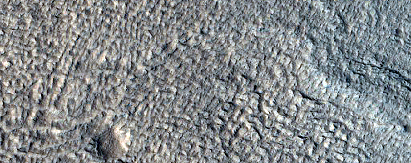 Viscous Flow Feature Mixing with Periglacial Features