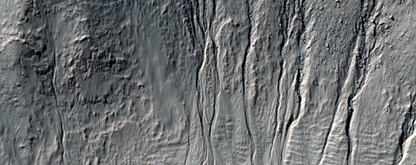 Gully Monitoring