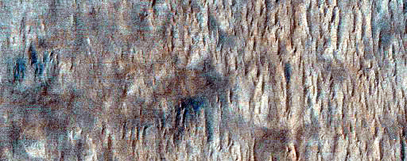 Gullies and Dust Devil Tracks on Bright Dunes in Galle Crater
