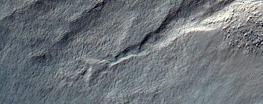 West-Facing Gullies and Layers