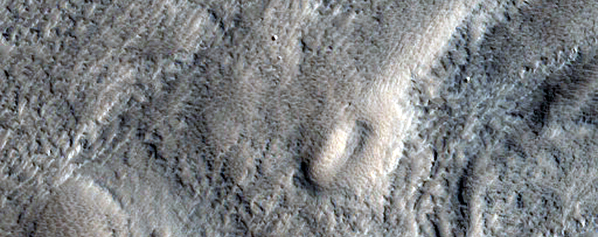 Sinuous Ridges and Valley Floor Landforms in Tempe Terra