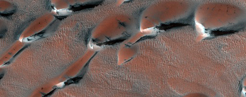 Survey of Dune-Ice Interactions near Olympia Undae