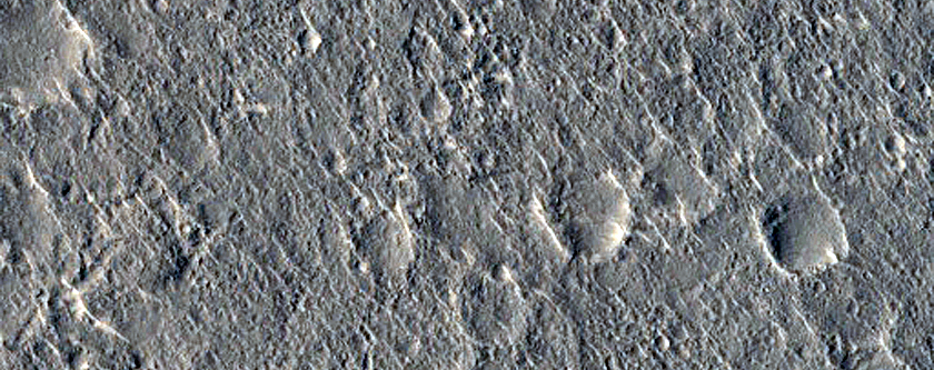 Isidis Planitia