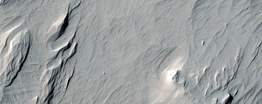 Lucus Planum