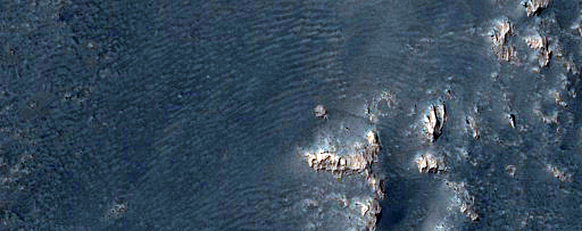 Daedalia Planum