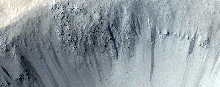 Terrain Sample