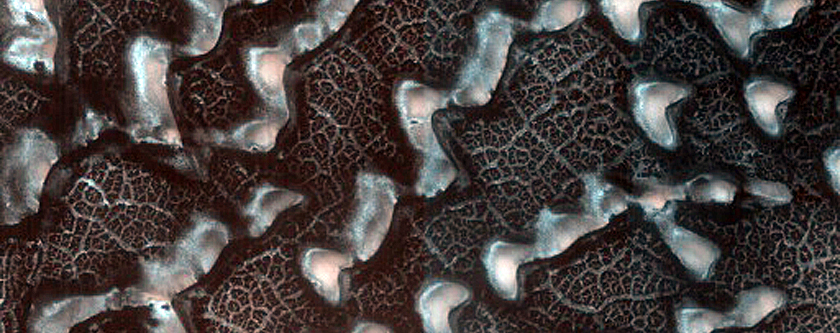 Dune Monitoring in Crater