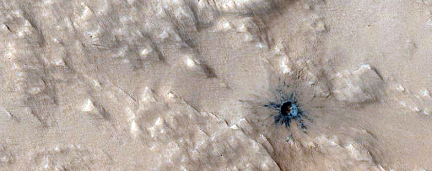 Monitoring New Impact Site
