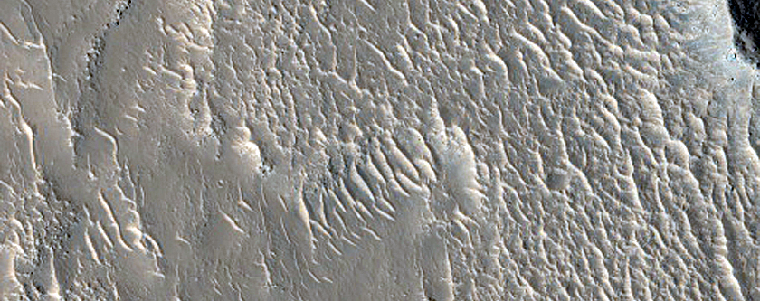 Flows Northwest of Elysium Mons