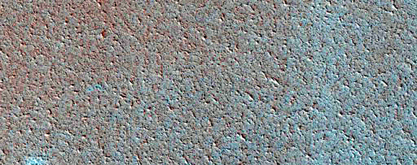 Scandia Cavi