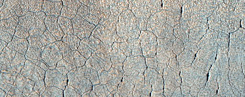 Utopia Planitia Scalloped Terrain