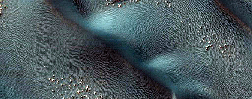 Transverse and Barchan Dune Field