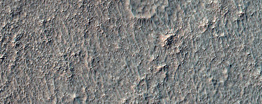 Terrain Sample