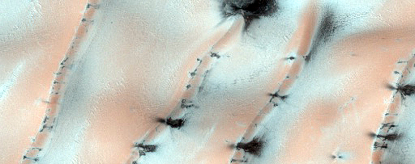Northern Dune Margin