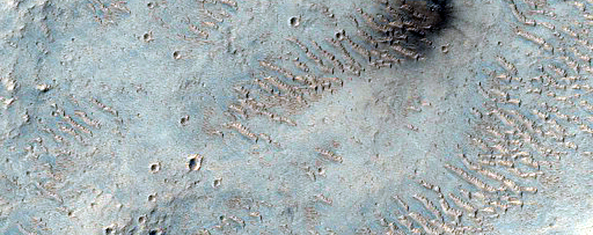Candidate Recent Impact Site
