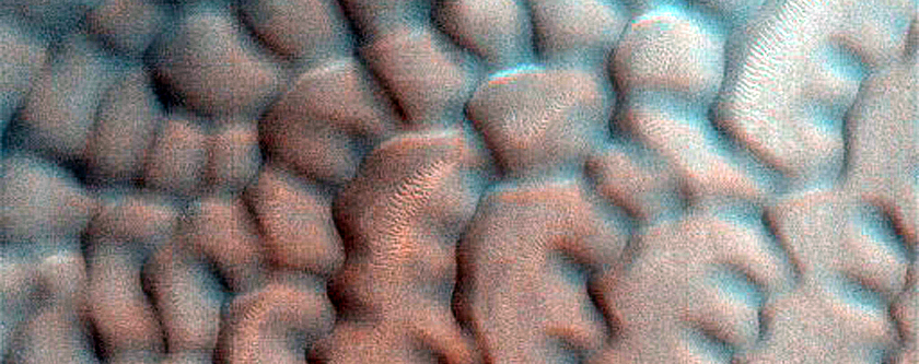 Dune Monitoring in Crater