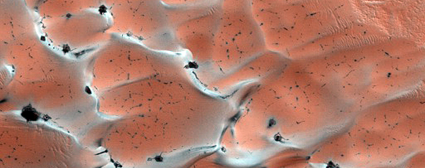 Dunes Dubbed Buzzel