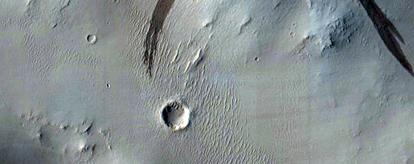 Eastern Arabia Terra