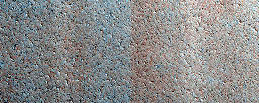 North Polar Gypsum Dunes