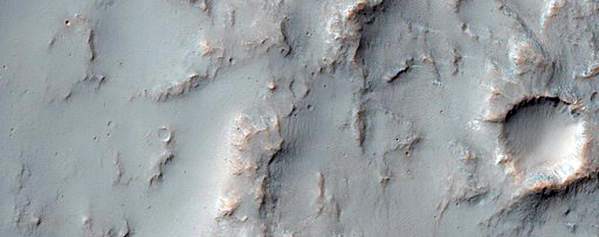 Hydrated Materials in Columbus Crater