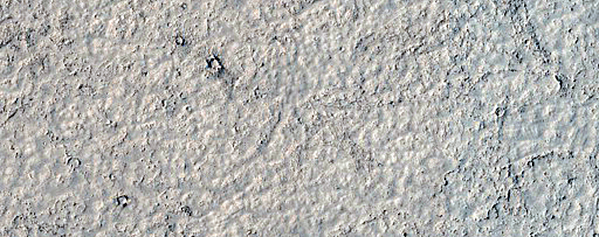 Elysium Planitia