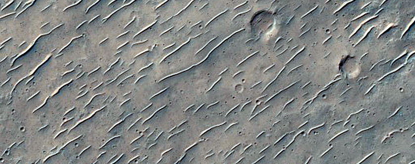 Wrinkle Ridge
