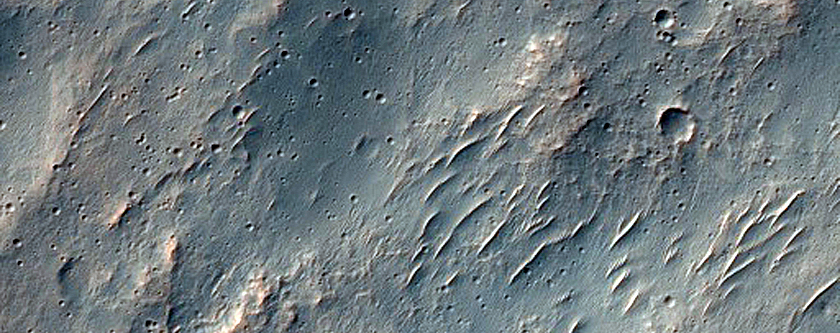 Southern Mid-Latitude Terrain