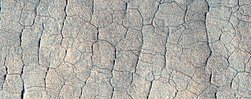 Utopia Planitia Sample