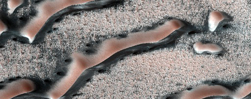 North Polar Dune Margin