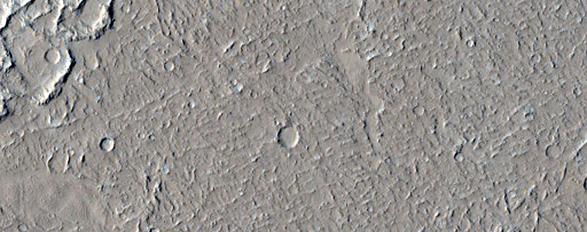 Amazonis Planitia Terrain Sample