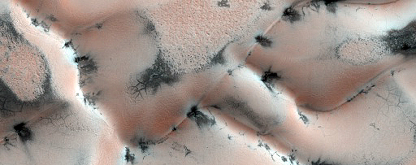 Frosted Dunes