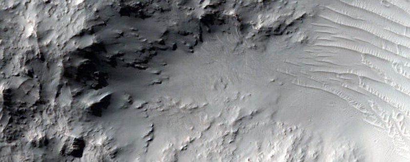 Crater Floor in Terra Sirenum