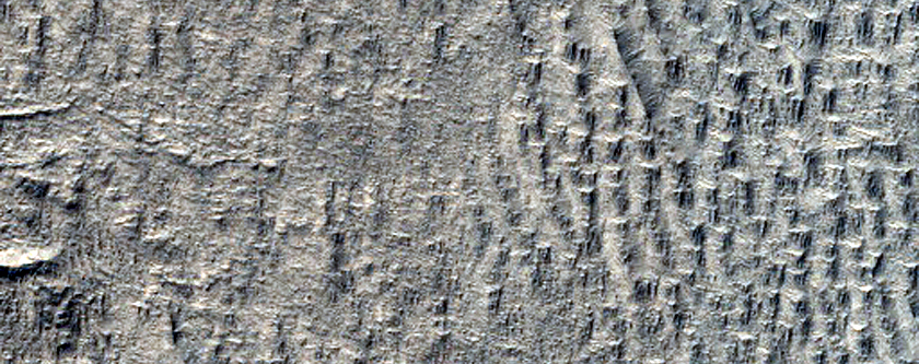 Hellas Planitia Terrain Sample