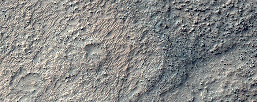 Olivine Northwest of Argyre Planitia