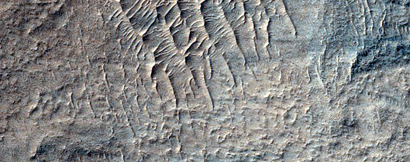 Hellas Planitia Terrain Sample