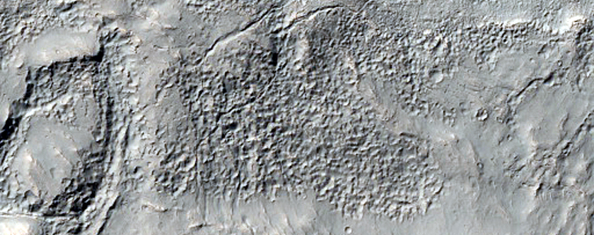 Possible Mafic-Rich Terrain near Newton Crater