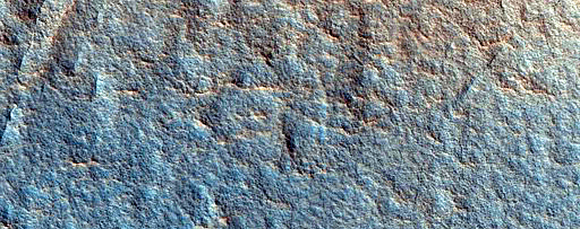Monitoring Dust Devil Tracks in Vivero Crater