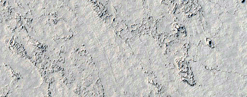 Platy-Ridged Lava in Elysium Planitia
