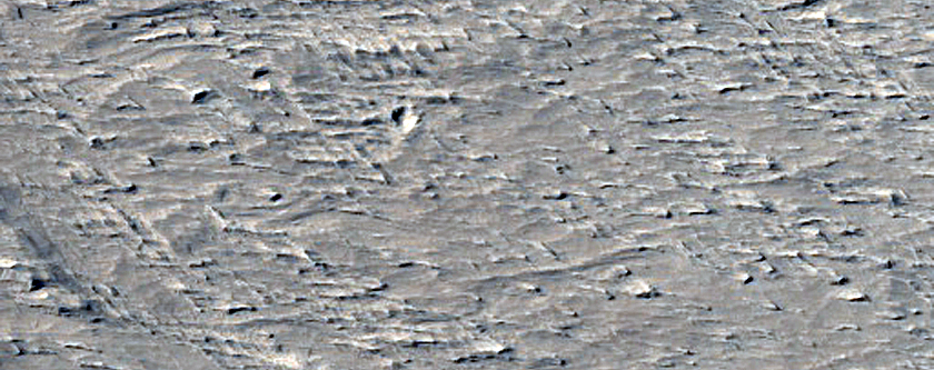 Terrain Sample