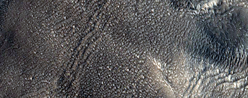 Terrain Sample