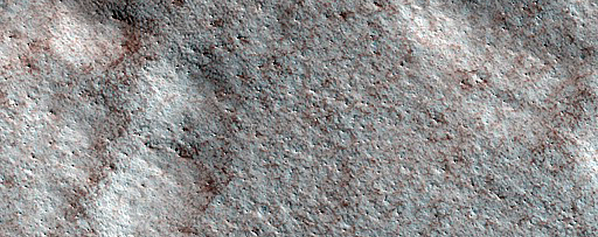 Terrain Sample