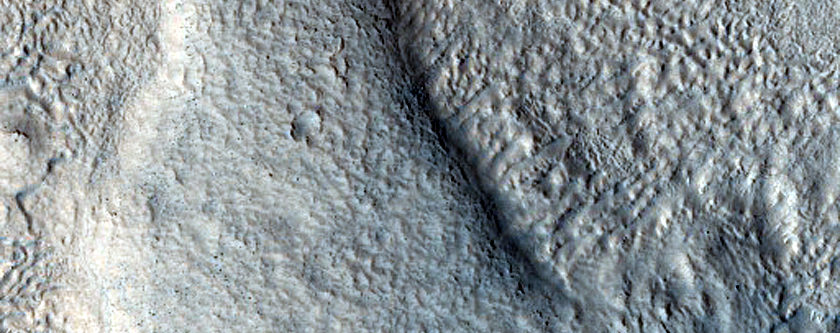 Brain Terrain and Ribbed Terrain in Protonilus Mensae